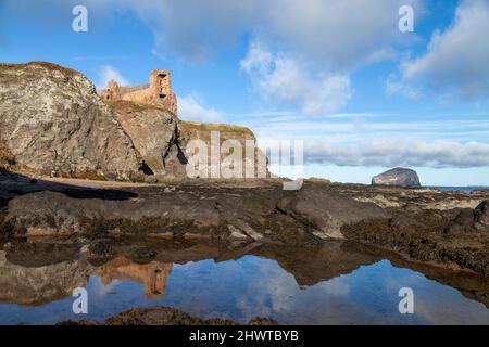 Château de Tantallon et Bass Rock près de North Berwick dans l'est de l'Écosse Lothian. Banque D'Images