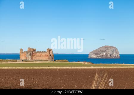 Château De Tantallon Et Bass Rock Près De North Berwick East Lothian Scotland. Banque D'Images