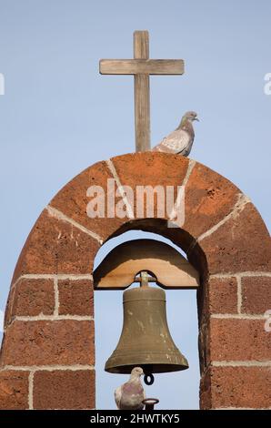 Pigeons domestiques Columba livia domestica sur l'église de Nuestra Senora del Carmen. Las Tricias. La Palma. Îles Canaries. Espagne. Banque D'Images