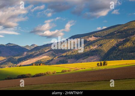 Paysage du Piémont avec des prairies dans la lumière du matin à l'automne, la région de Liptov avec les montagnes occidentales Tatras, Slovaquie, Europe. Banque D'Images