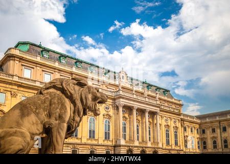 Le château de Buda avec un des lions dans la cour intérieure, Budapest, Hongrie, Europe. Banque D'Images