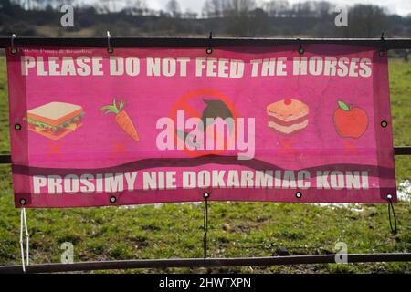 Prosimy nie dokarmiac koni, s'il vous plaît ne pas nourrir les chevaux, pas de sandwiches, pas de carottes, pas de gâteaux, pas de pommes, avertissement les chevaux peuvent mordre, avertissement sur la clôture. Banque D'Images