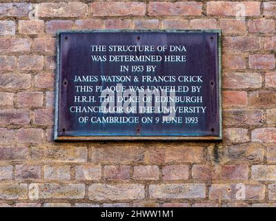 Structure de l'ADN, Cambridge - Plaque commémorant la découverte de la structure de l'ADN à l'ancien laboratoire Cavendish de l'Université de Cambridge. Banque D'Images