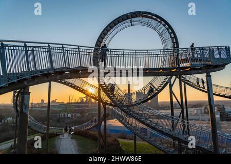 Landmark Angerpark Tiger & Turtle - Magic Mountain, sculpture à pied en forme de montagnes russes sur le tas Heinrich-Hildebrand-Höhe, HKM Banque D'Images