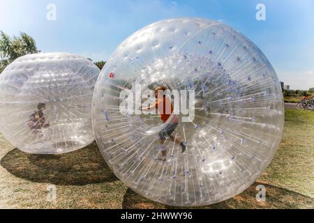 Les enfants ont beaucoup de plaisir dans la balle "zorbing" Banque D'Images