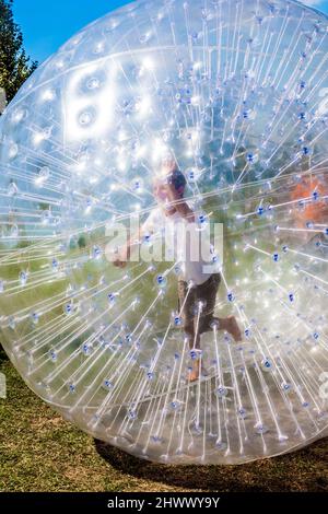Les enfants ont beaucoup de plaisir dans la balle "zorbing" Banque D'Images