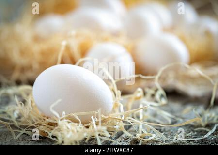 Les oeufs de poulet blancs dans la paille nichent sur un terrier sur des planches de bois Banque D'Images