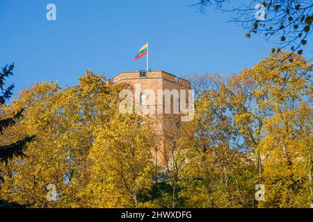 Tour du château de Gediminas, aujourd'hui musée, au-dessus de la place de la cathédrale dans la vieille ville de Vilnius, capitale de la Lituanie, Europe de l'est Banque D'Images