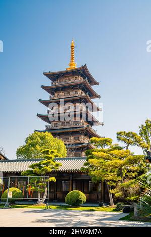 Vue détaillée de l'ancienne architecture chinoise en bois dans un temple de Shanghai, en Chine. Banque D'Images