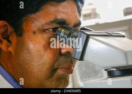 Pathologiste analysant un échantillon au microscope. (MODÈLE DISPONIBLE) Banque D'Images