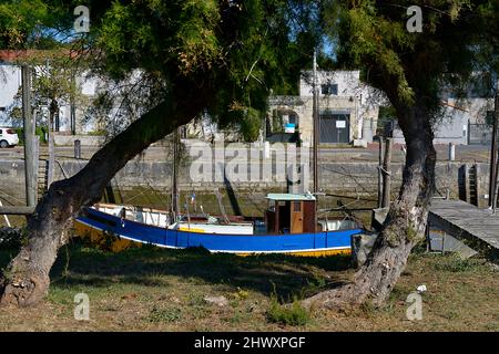 Bateau et deux tamarisques à la Tremblade, commune du département de la Charente-Maritime et de la Nouvelle-Aquitaine dans le sud-ouest de la France Banque D'Images