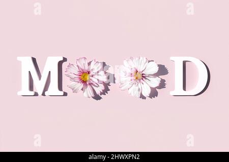 Humeur. Citation motivationnelle de lettres blanches et beauté de fleurs naturelles sur fond rose. Concept créatif citation inspirante de la journée. Banque D'Images