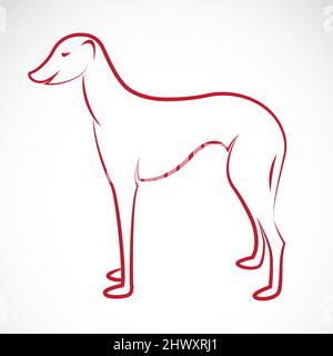 Image vectorielle d'un chien (azawakh) sur fond blanc. Illustration vectorielle superposée facile à modifier. Illustration de Vecteur