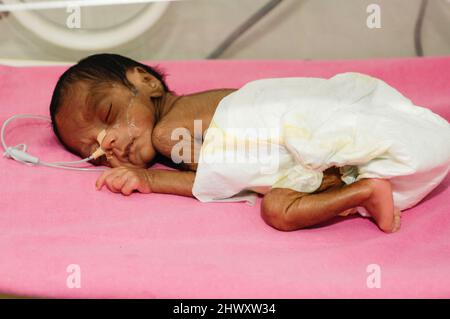 Bébé prématuré dans un incubateur de l'unité néonatale d'un hôpital. Les bébés prématurés sont placés dans l'incubateur car ils n'ont pas complètement développé la mécha Banque D'Images