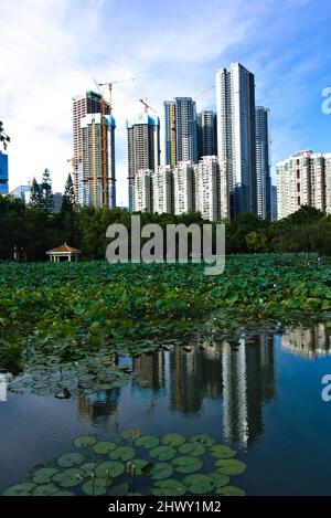 Beauté urbaine montrant des bâtiments élevés reflétés dans un étang à Shenzhen, en Chine Banque D'Images