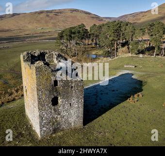 Vue aérienne de la tour DryhopeTower une tour Peel de 16th siècles par le Loch St.Mary dans les frontières écossaises. Banque D'Images