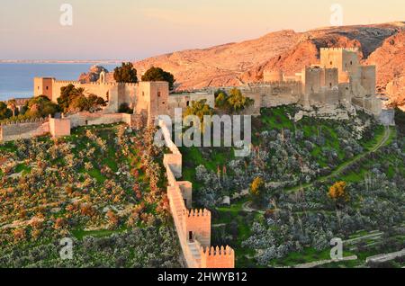 Alcazaba d'Almeria vue du matin, château fort mauresque médiéval situé sur la côte méditerranéenne dans le paysage aride d'Almeria sud de l'Espagne. Banque D'Images