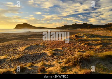 Dunes de sable herbeuses le matin, plage de Playa de los Genoveses dans le parc naturel de Cabo de Gata Nijar, Almeria Espagne. Banque D'Images