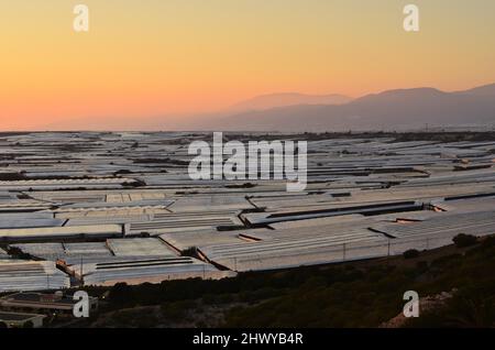 Paysage plastique, champ de serres scintillant au crépuscule dans la province d'Almerimar, dans le sud de l'Espagne. Banque D'Images