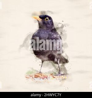 Un effet aquarelle Blackbird Banque D'Images