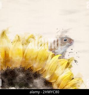 Un effet aquarelle Harvest Mouse fait un peps d'un tournesol Banque D'Images