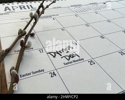 Le jour de Dyngus (ou Dingus) est un jour férié polonais qui tombe le lundi juste après le dimanche de Pâques. Banque D'Images