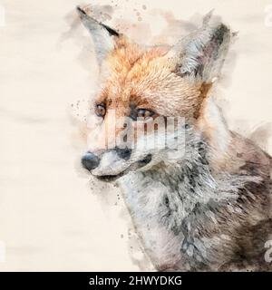 Un effet aquarelle Red Fox portrait Banque D'Images