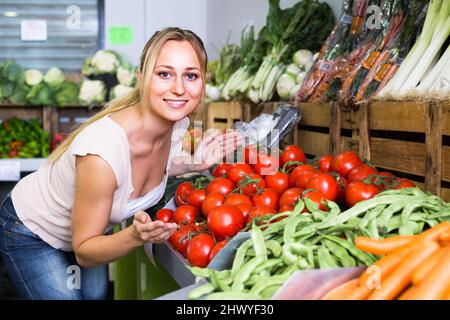 femme cueillant des tomates Banque D'Images