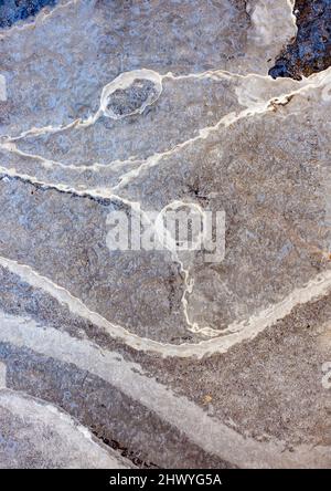 Géométrie de la surface de glace dans les eaux des marais, parc national Kemeri, Lettonie Banque D'Images