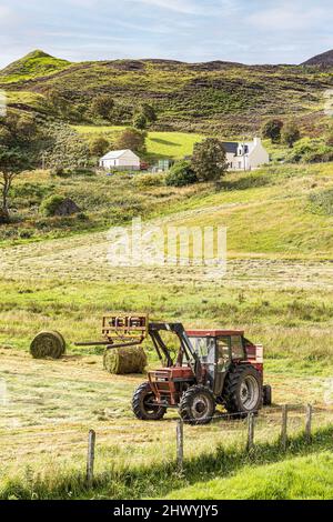 Fabrication de foin dans le village de Digg, au nord de l'île de Skye, Highland, Écosse, Royaume-Uni. Banque D'Images