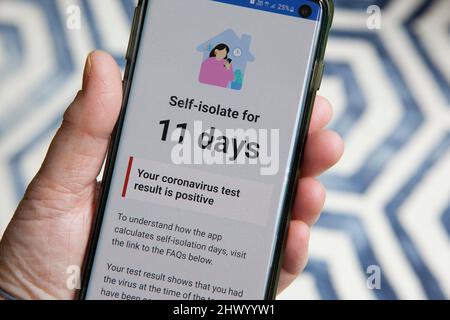 Londres, Royaume-Uni, 8 mars 2022 : un smartphone affiche des messages du NHS en réponse à un test de débit latéral positif. Le gouvernement n'exige plus que les personnes avec Covid-19 s'auto-isolent, mais les apps conseillent toujours l'auto-isolement pendant 11 jours à partir du jour du test positif initial. Au cours de la semaine dernière, les nouveaux tests de covid signalés ont augmenté de 39% par rapport aux chiffres de la semaine précédente, un résultat probable de la politique anglaise de suppression de tous les contrôles de covid. Anna Watson/Alamy Banque D'Images