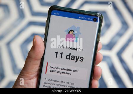 Londres, Royaume-Uni, 8 mars 2022 : un smartphone affiche des messages du NHS en réponse à un test de débit latéral positif. Le gouvernement n'exige plus que les personnes avec Covid-19 s'auto-isolent, mais les apps conseillent toujours l'auto-isolement pendant 11 jours à partir du jour du test positif initial. Au cours de la semaine dernière, les nouveaux tests de covid signalés ont augmenté de 39% par rapport aux chiffres de la semaine précédente, un résultat probable de la politique anglaise de suppression de tous les contrôles de covid. Anna Watson/Alamy Banque D'Images