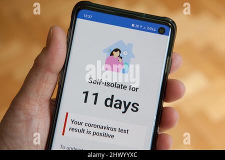 Londres, Royaume-Uni, 8 mars 2022 : un smartphone affiche des messages du NHS en réponse à un test de débit latéral positif. Le gouvernement n'exige plus que les personnes avec Covid-19 s'auto-isolent, mais les apps conseillent toujours l'auto-isolement pendant 11 jours à partir du jour du test positif initial. Au cours de la semaine dernière, les nouveaux tests de covid signalés ont augmenté de 39% par rapport aux chiffres de la semaine précédente, un résultat probable de la politique anglaise de suppression de tous les contrôles de covid. Anna Watson/Alamy Banque D'Images