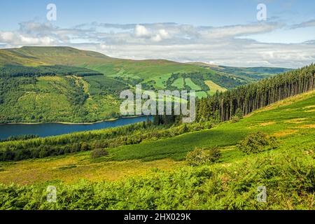 La vue de Bwlch y Waun en face de Waun Rydd et du réservoir Talybont dans le parc national de Brecon Beacons en août Banque D'Images