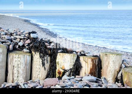 Une groyne et des cailloux à Porlock Weir, Somerset, Royaume-Uni. Banque D'Images