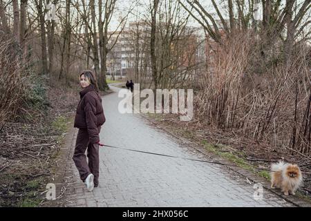 Jeune fille avec un chien moelleux de Pomeranian Banque D'Images