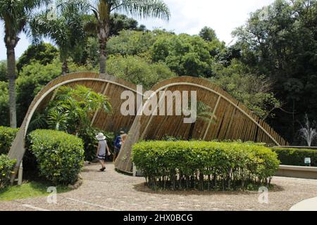 Curitiba, Parana, Brésil. 8th mars 2022. (INT) mouvement dans le jardin botanique de Curitiba. 8 mars 2022, Curitiba, Parana, Brésil: Mouvement dans le jardin botanique, l'une des principales cartes postales et lieu touristique dans la ville de Curitiba, le mardi (8), avec une chaleur intense dans la capitale de Parana. (Credit image: © Edson de Souza/TheNEWS2 via ZUMA Press Wire) Banque D'Images