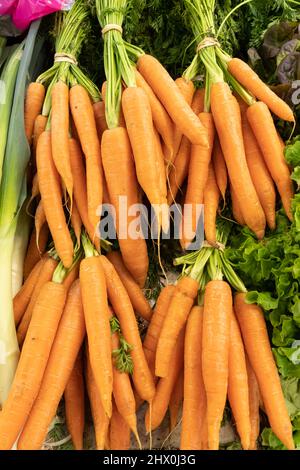 Gennevilliers, France - 01 21 2022: Fruits et légumes Prieur. Détail des carottes dans un épicier Banque D'Images