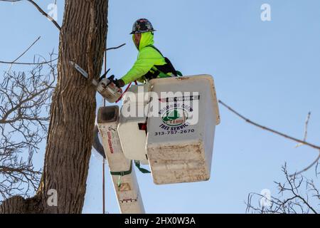 Detroit, Michigan - les travailleurs de Detroit Grounds Crew retirent les arbres indésirables et malades dans un quartier de Detroit. Banque D'Images