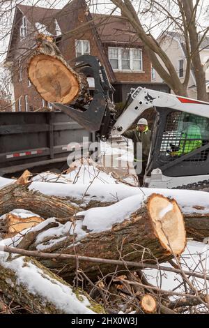 Detroit, Michigan - les travailleurs de Detroit Grounds Crew retirent les arbres indésirables et malades dans un quartier de Detroit. Banque D'Images