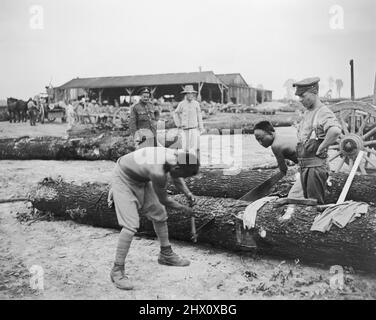 Des soldats britanniques et des hommes du corps travailliste chinois travaillant dans la cour de bois de Caestre préparant le bois pour la construction ferroviaire, 14 juillet 1917. Banque D'Images