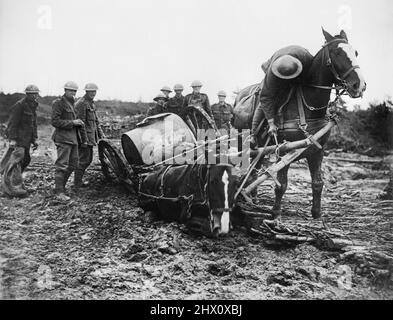 Les soldats britanniques tentent de sauver une charrette d'eau tirée par des chevaux, qui est restée coincée dans la boue jusqu'à l'essieu à St. Eloi, le 11 août 1917. Une roue et la jambe arrière de l'un des chevaux se sont coincées après avoir été en dehors du bord de la piste de bois de brushwood. Banque D'Images