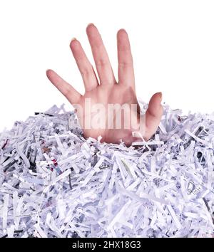 Noyade dans des documents détruits. Photo de studio d'une main de femme se présentant sous un tas de papier déchiqueté sur un fond blanc. Banque D'Images