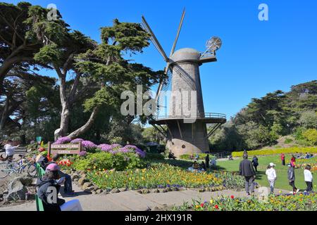 Tulipes fleurissent dans le jardin de la Reine Wilhelmina, Golden Gate Park CA Banque D'Images