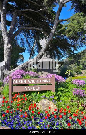 Tulipes fleurissent dans le jardin de la Reine Wilhelmina, Golden Gate Park CA Banque D'Images