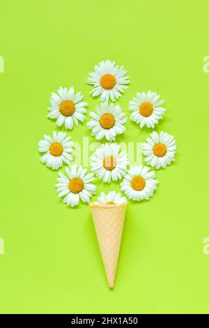 Bouquet camomille pâquerettes fleurs en gaufre glace cône sur fond de papier couleur vert pastel modèle pour carte postale ou votre design plat Lay Top vi Banque D'Images
