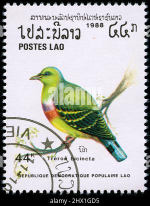 Timbre-poste du Laos dans la série oiseaux publiée en 1988. Le timbre identifie l'oiseau comme étant le Treron bicincta, mais le bon identificateur est en Th Banque D'Images