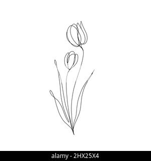 dessin de ligne continue de fleur. Dessin minimaliste, idée d'invitation, conception d'histoires instagram et icônes de mise en évidence Banque D'Images