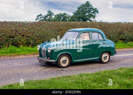 1955 50s années cinquante vert Austin A30 sept 803cc en route vers Capesthorne Hall classique du mois d'août car show, Cheshire, Royaume-Uni Banque D'Images