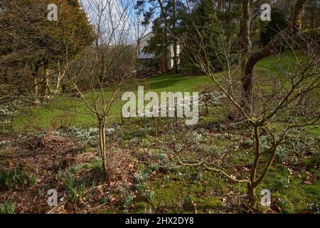 Niché dans les bières du Yorkshire, le cottage traditionnel des landes attend avec impatience le printemps entouré d'une bande de chutes de neige sauvages Banque D'Images